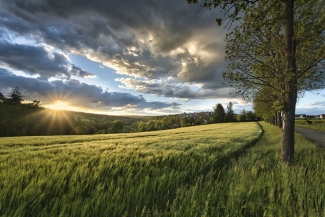 Natuur, Groen en milieu